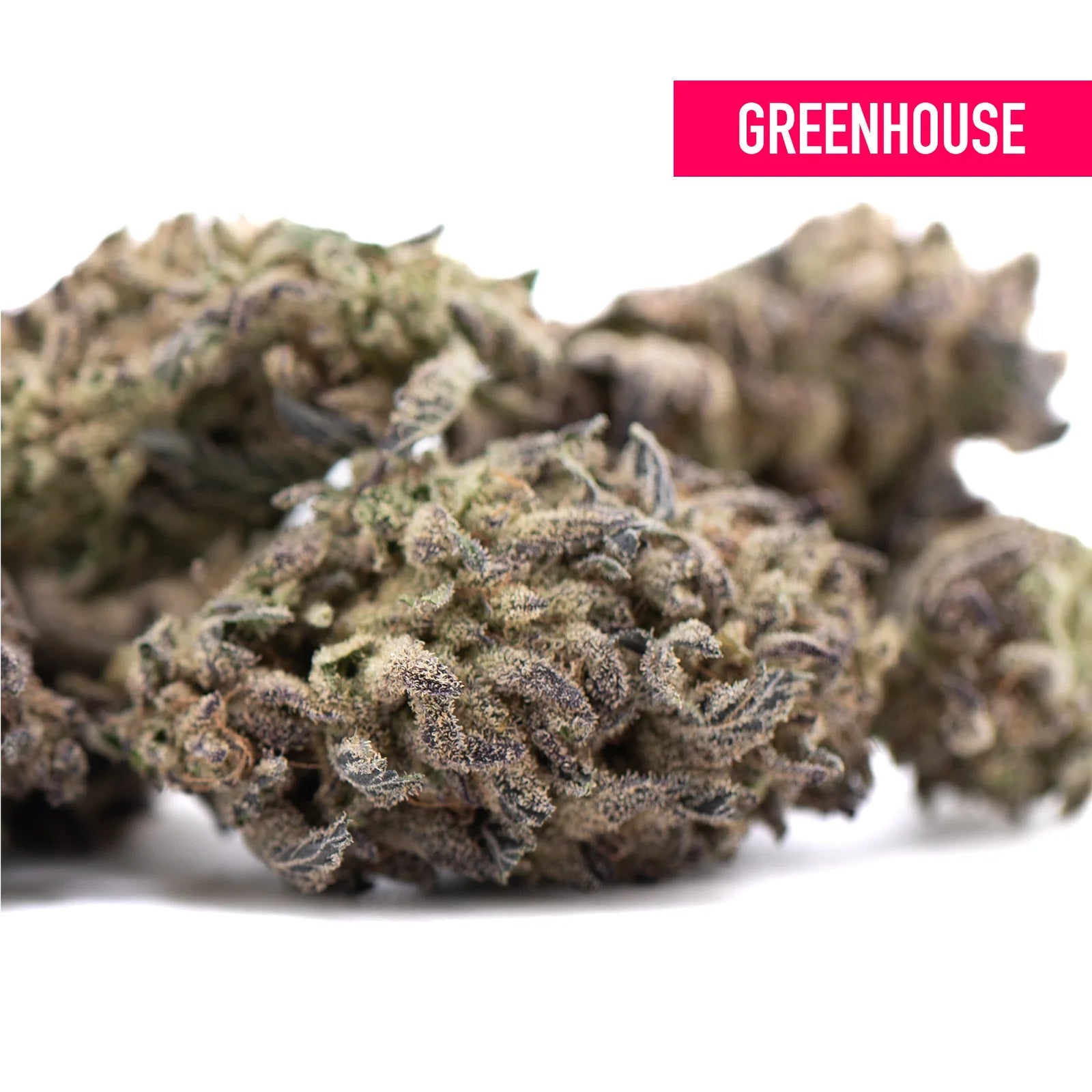 Greenhouse premium thca flower blue sugar legendary blueberry hemp buds with dense green and purple trichomes