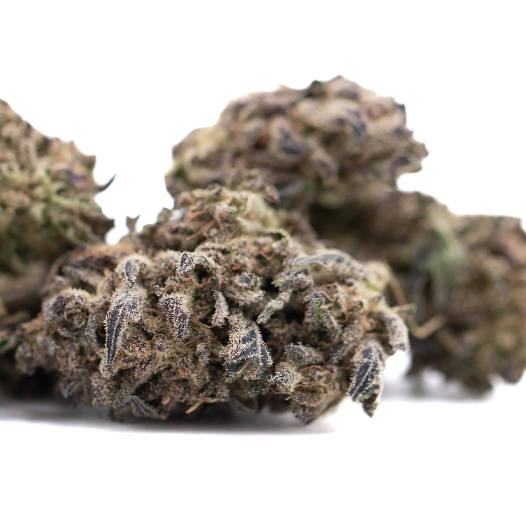 Mature blue sugar thca flower with dense frosty trichomes in green brown and purple hues premium greenhouse hemp