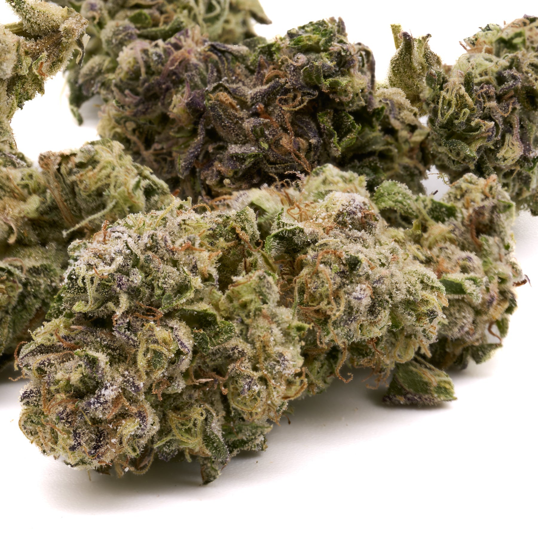 Blueberry Diesel THCa Hemp Flower Greenhouse - Plants