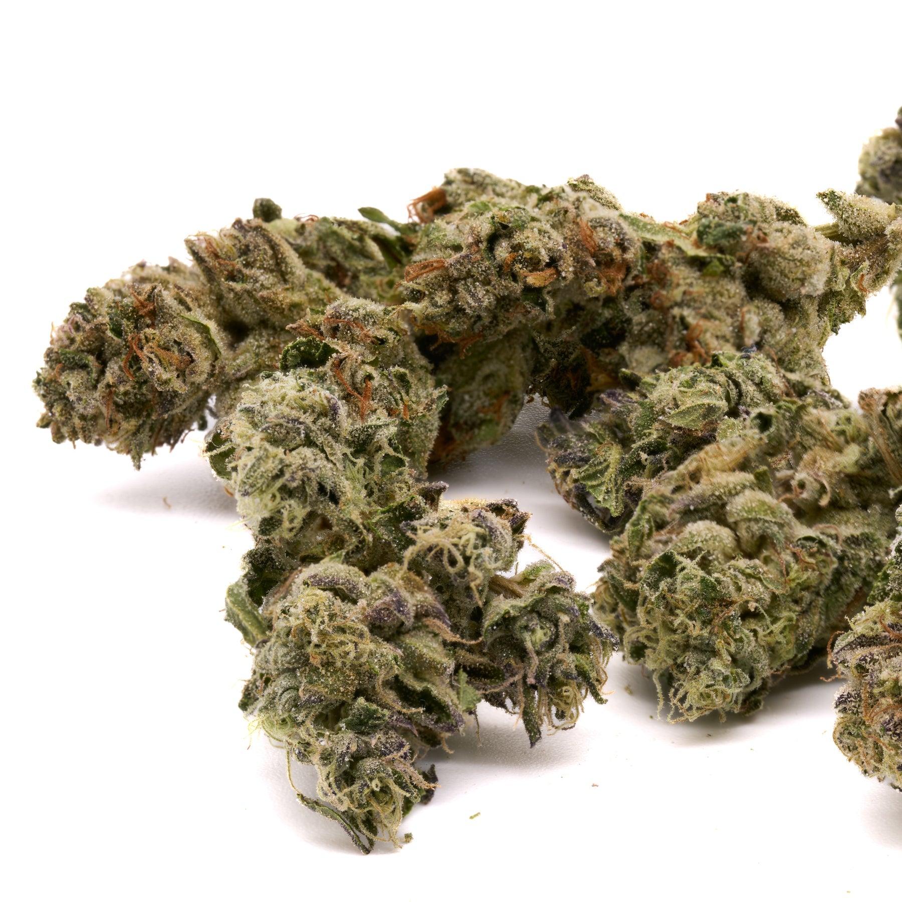 Blueberry Diesel THCa Hemp Flower Greenhouse - Plants