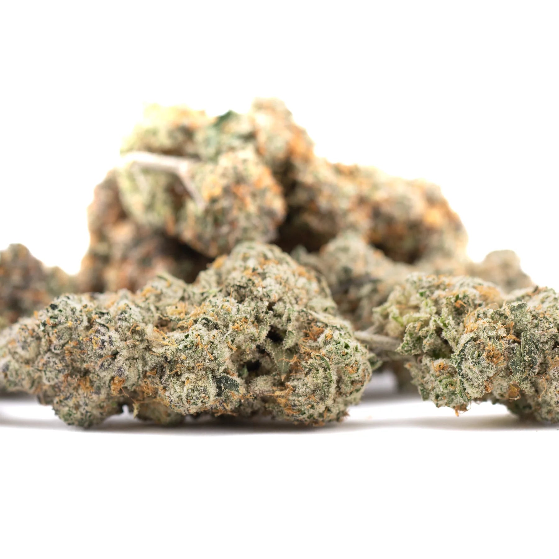 Premium Blueberry Kush THCa flower bud with green orange hues and trichomes