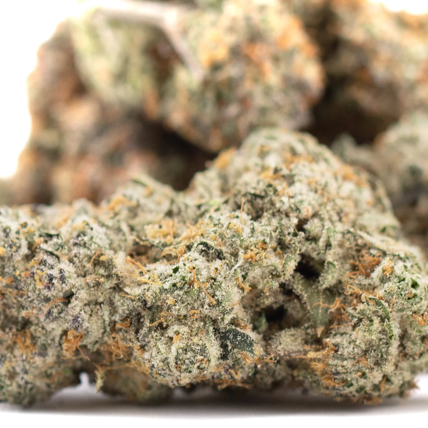 Premium Blueberry Kush THCa Flower: Dense Green Orange Indica Bud