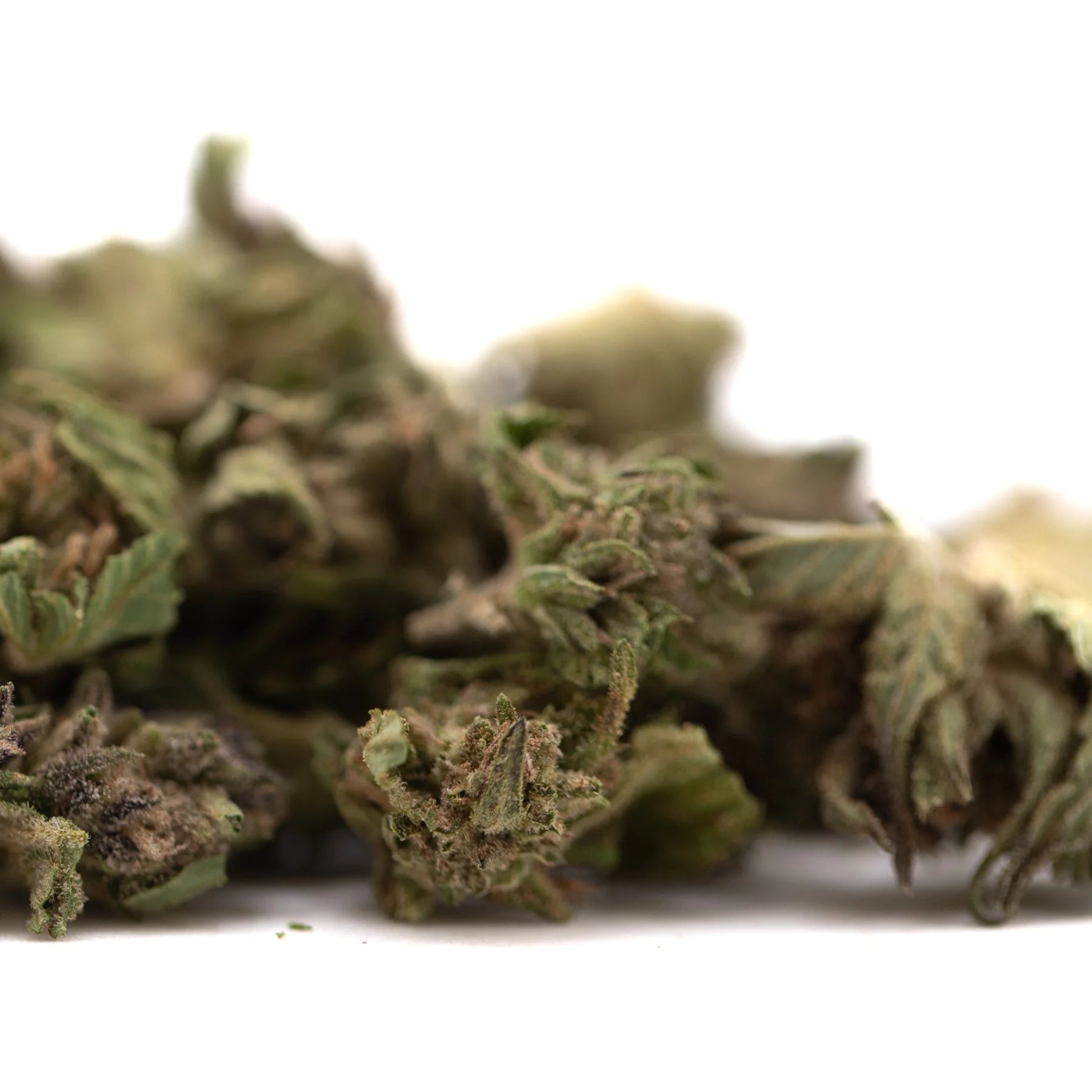 A pile of blueberry muffin full-term thca flower buds with green and brown hues showcasing dense trichomes from indoor cultivation and terpene profile