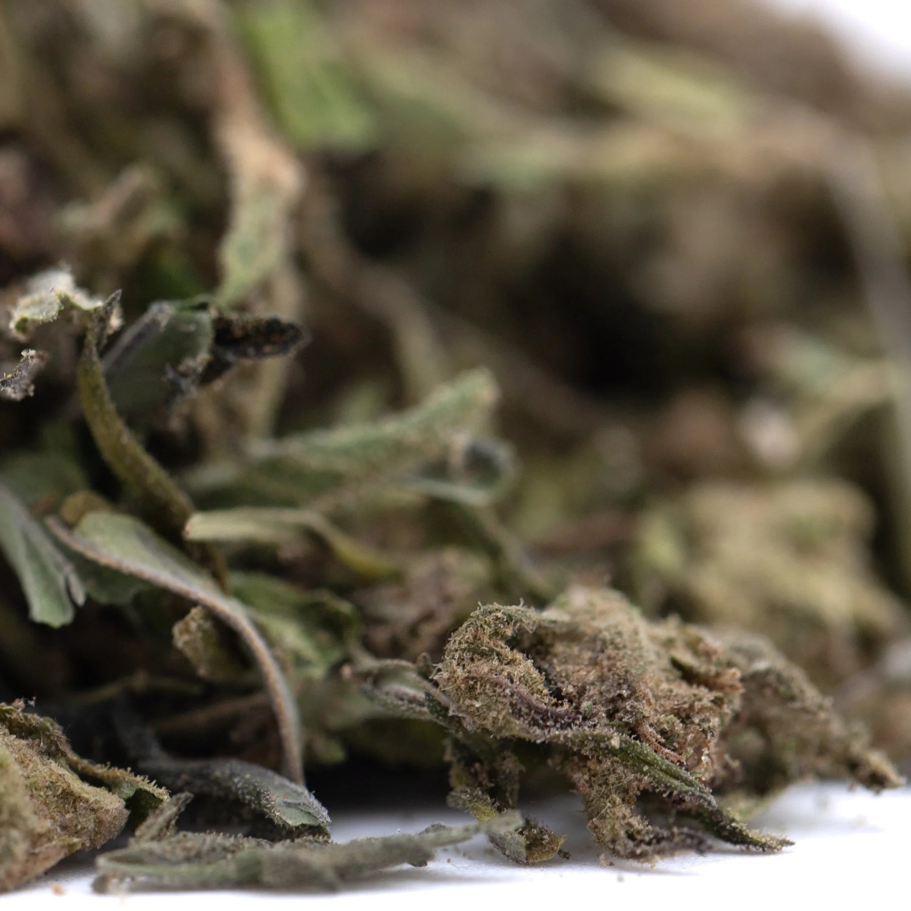 Dried blueberry muffin thca trim hemp flower buds with green and brown hues covered in fine trichomes