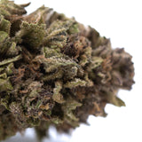 A dense blueberry muffin full-term thca flower bud with green and brown hues covered in fine trichomes