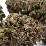 A dense blueberry muffin full-term thca flower wholesale bud with green and brown hues covered in fine trichomes