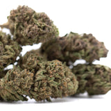 Dried blueberry muffin full-term thca flower wholesale with dense textured buds in green brown and orange shades