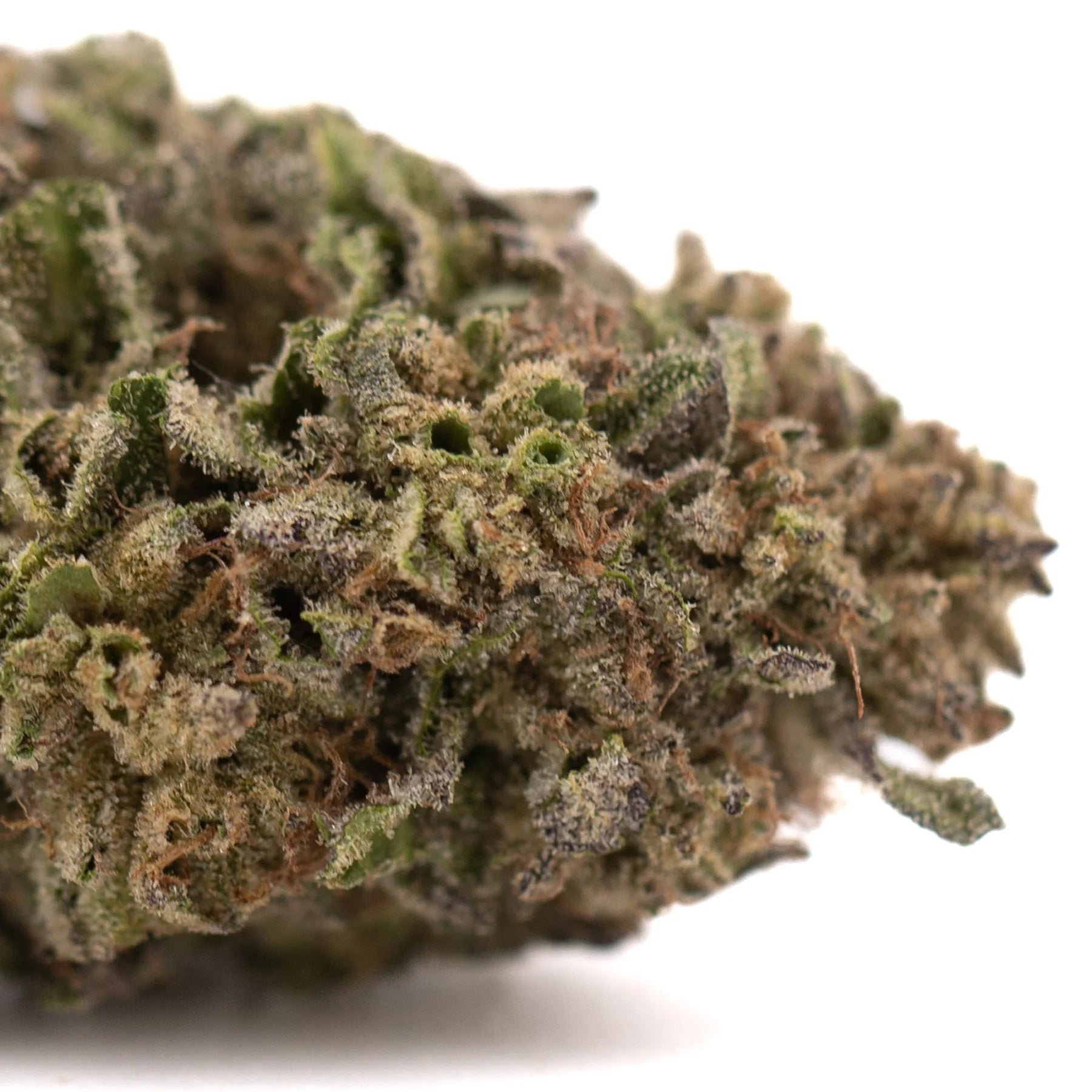 A dense textured green and brown bolor tartz thca hemp flower covered in fine trichomes from tartz greenhouse