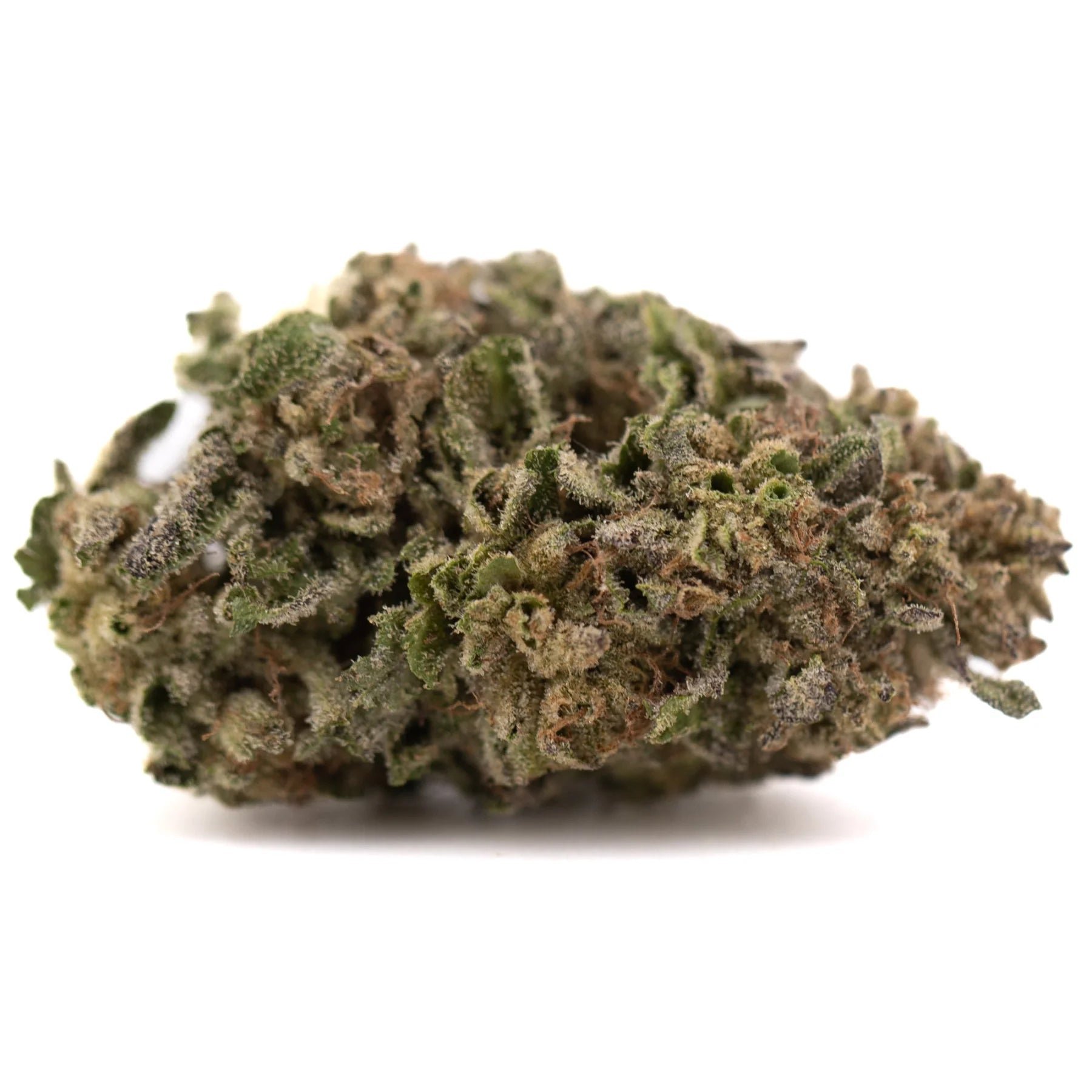 Dense textured bolor tartz greenhouse thca hemp flower with green and brown hues covered in fine trichomes