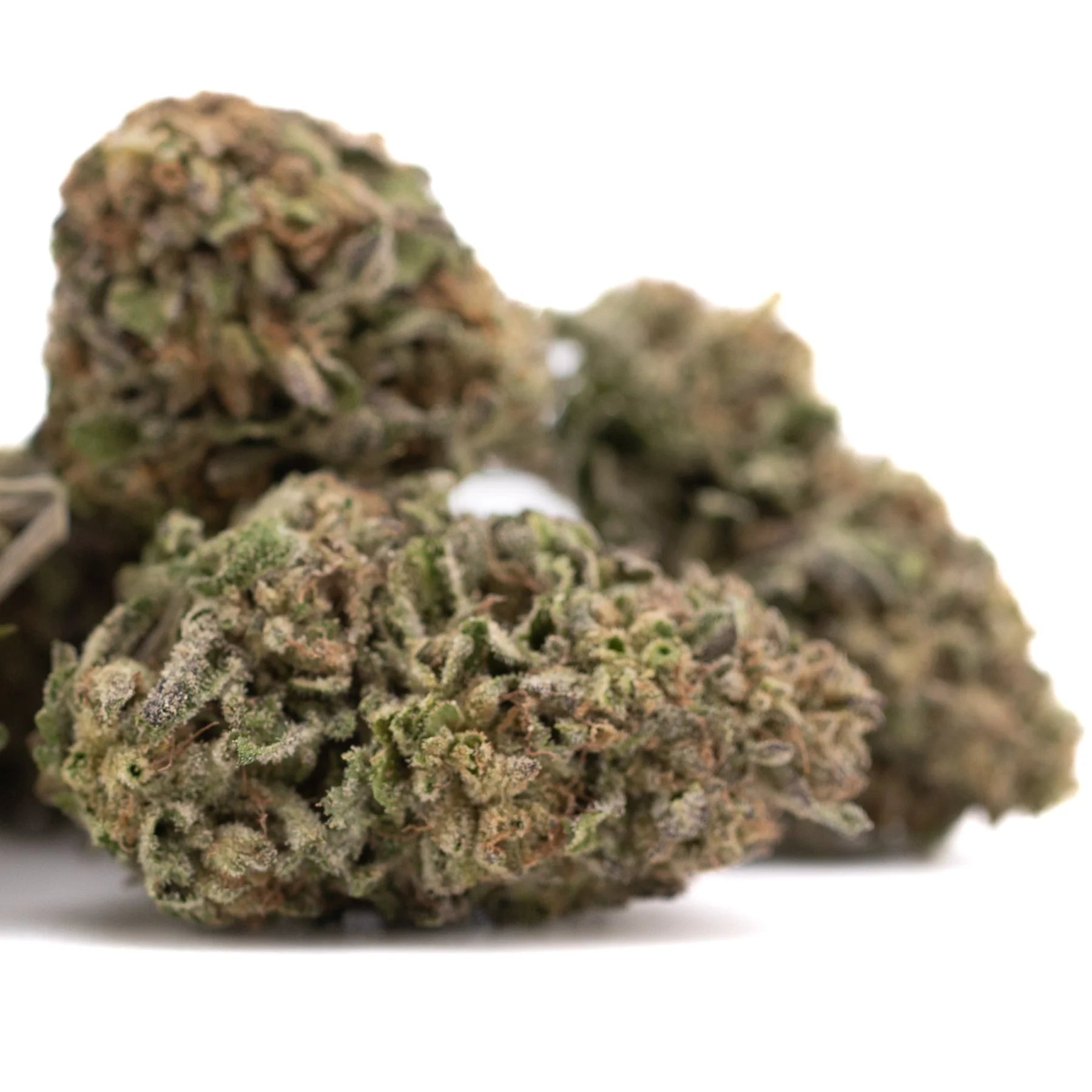 Green and brown zkittlez x gelato hemp flower buds with frosty texture showing award-winning genetics