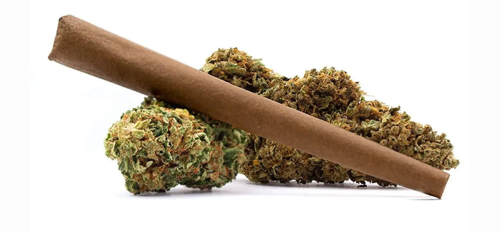 THCA Pre-Rolls vs THCA Blunts