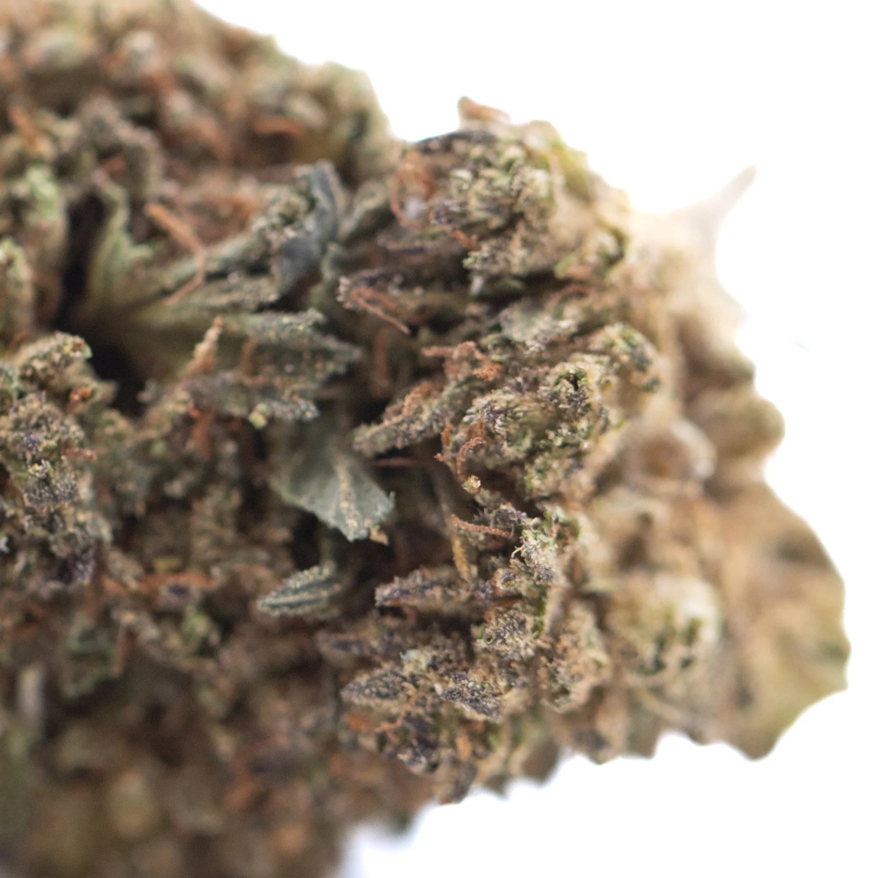 A dense resinous bubba kush cbd full-term hemp flower bud with green and brown hues covered in fine trichomes