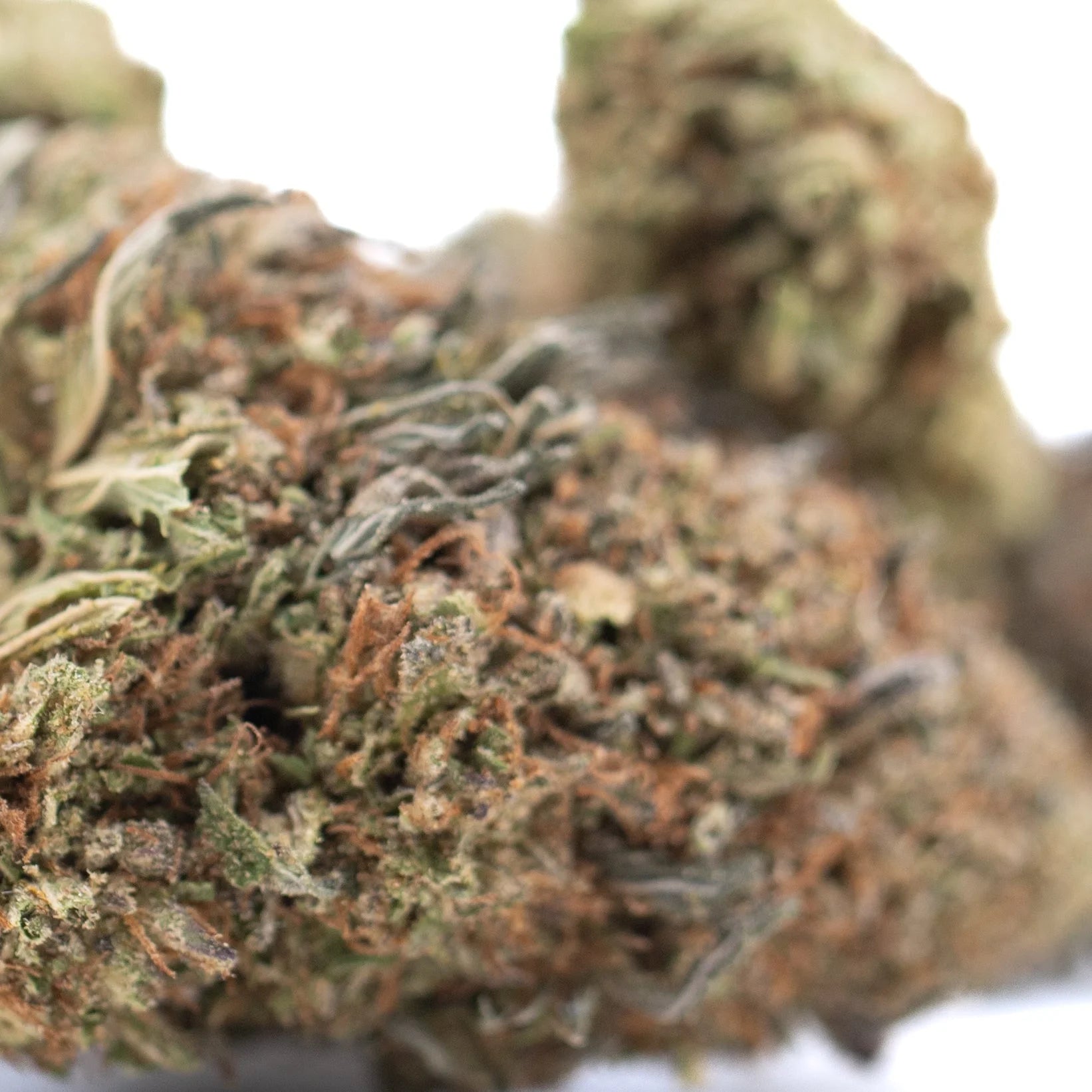 A dense resinous bubba kush cbd hemp flower with green and amber hues covered in fine trichomes highlighting cannabinoid potency and flavor profile