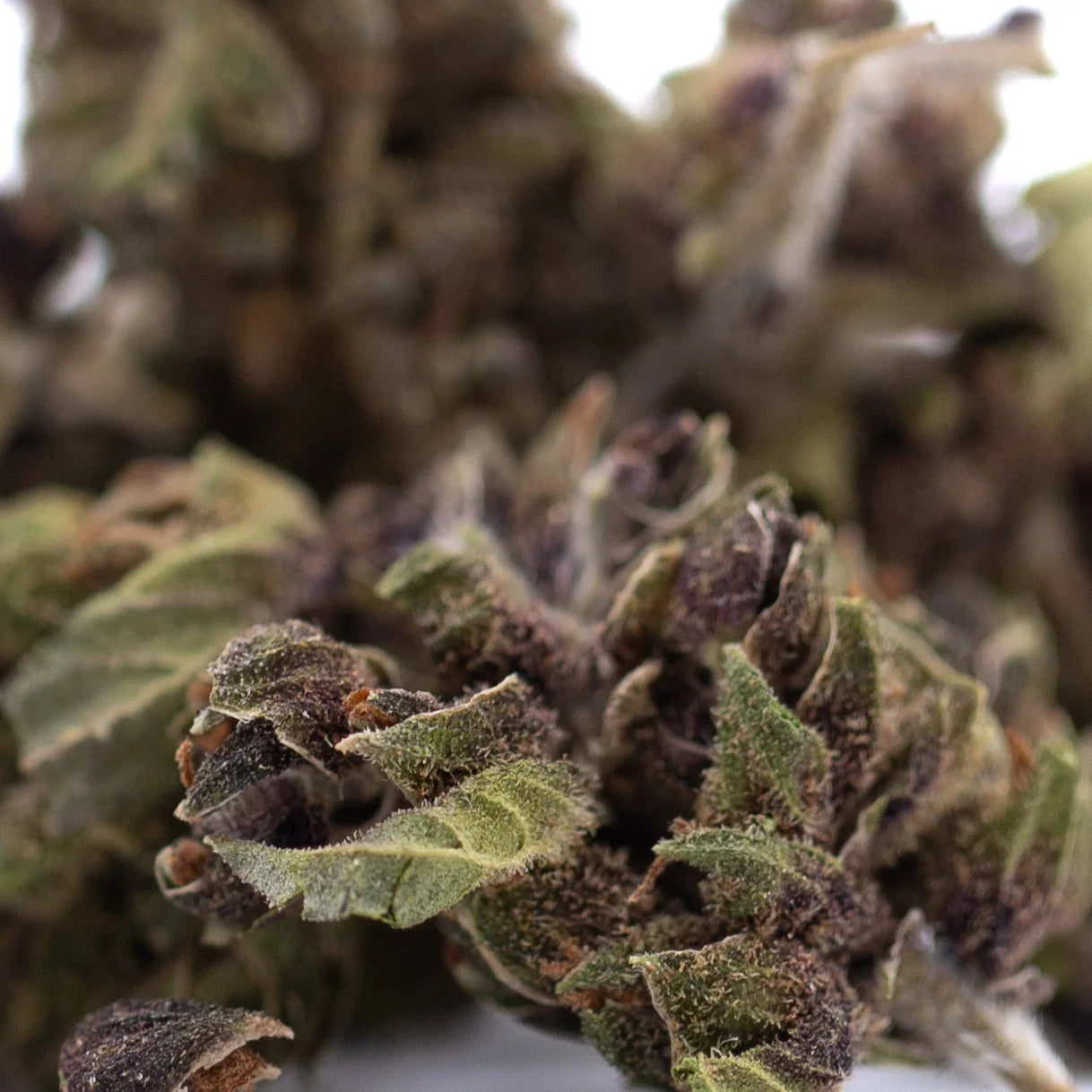 Dense resinous bubba kush cbd smalls hemp flower with green and purplish hues covered in fine trichomes afghani indica
