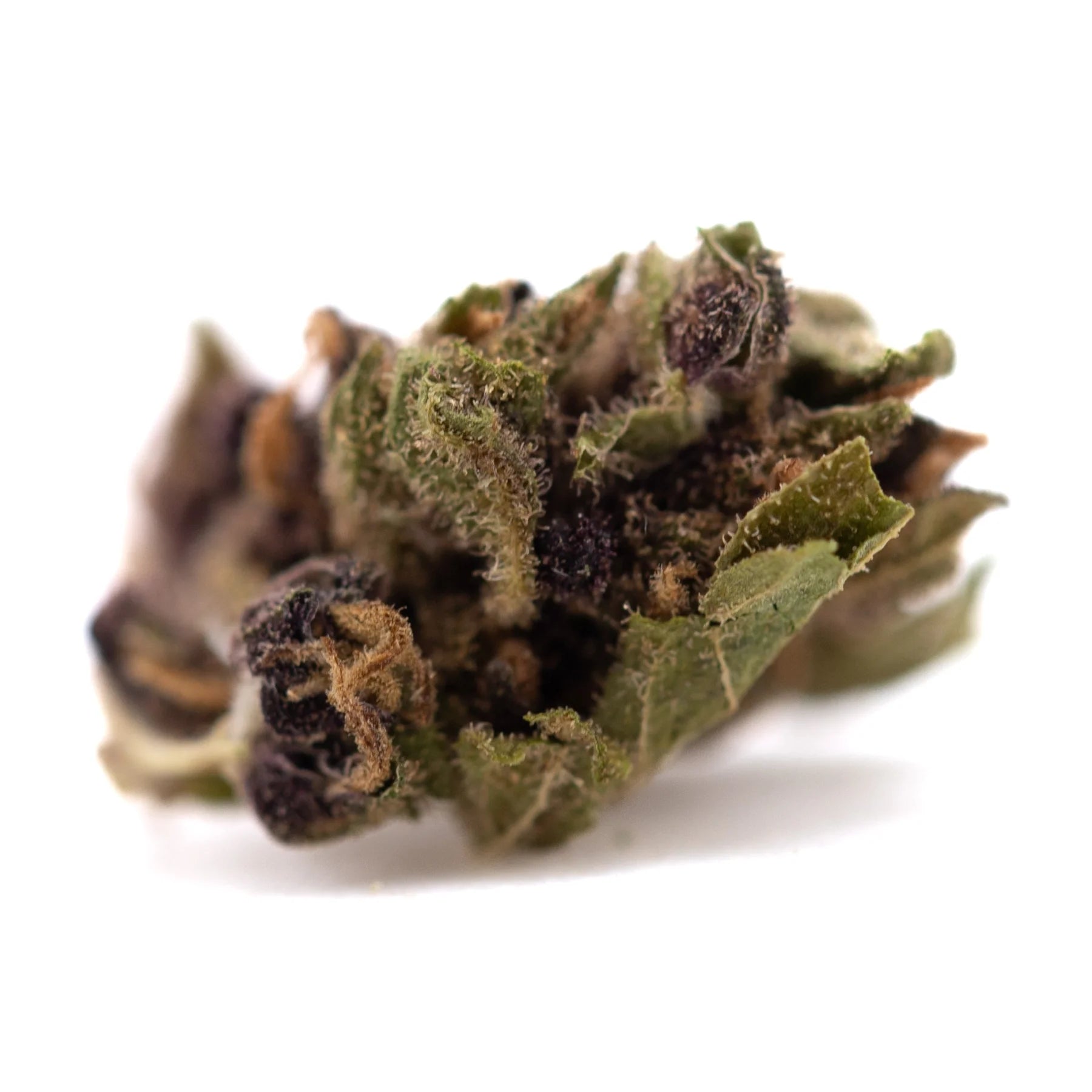A dense textured bubba kush cbd smalls cannabis bud with green and purplish hues covered in fine trichomes