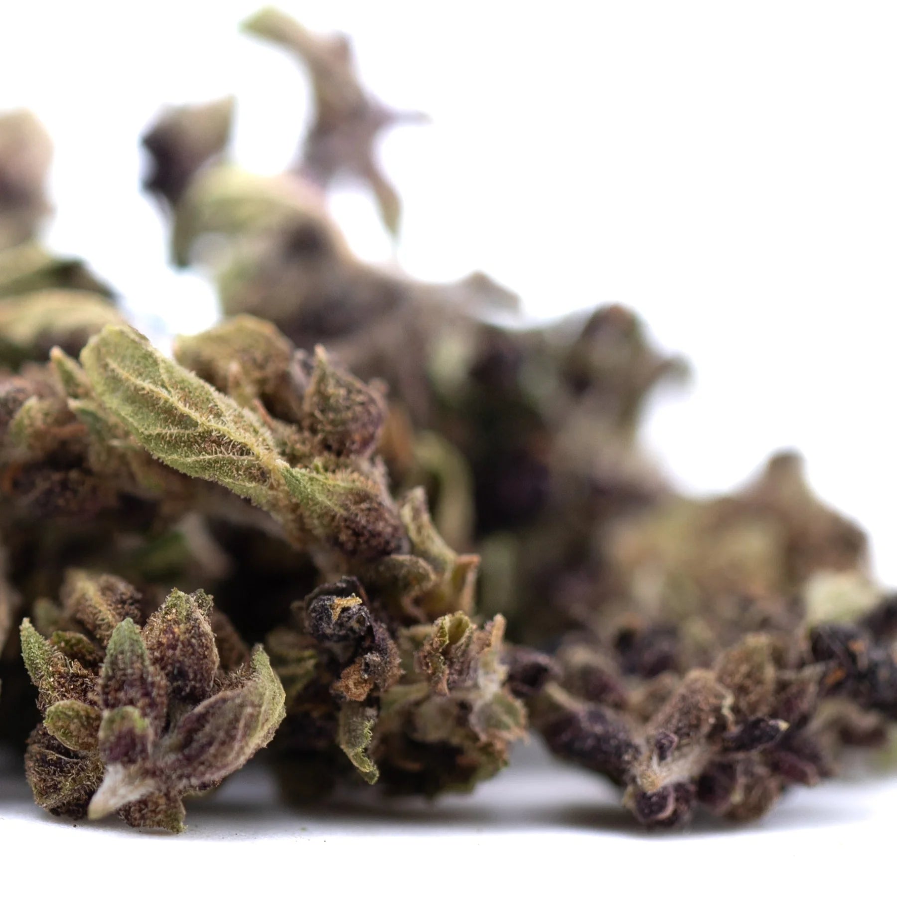 Dried bubba kush cbd smalls hemp flower with green and purplish hues covered in fine trichomes afghani indica