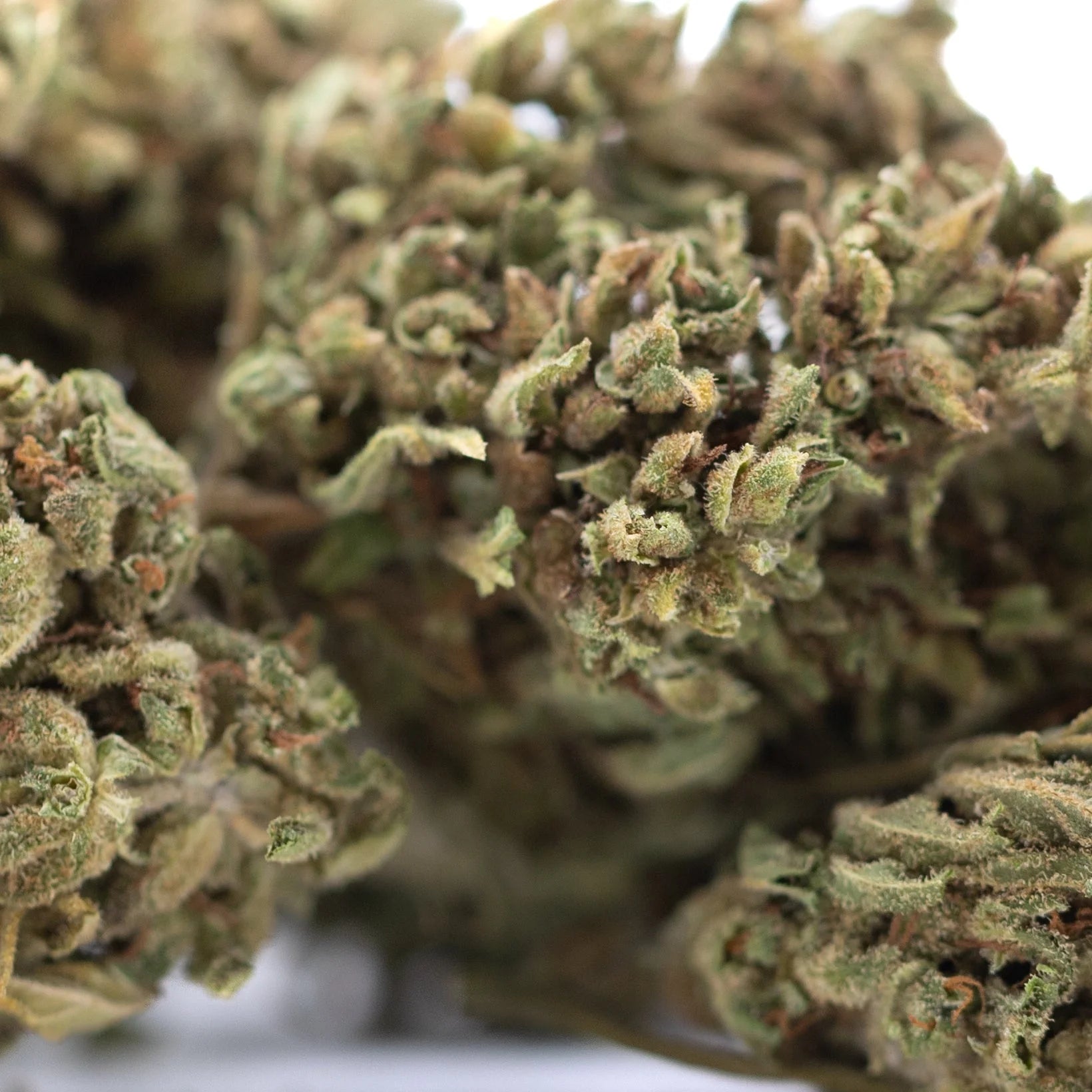 A dense green bubba kush full-term hemp flower bud with fine trichomes and subtle brown hints afghani indica strain