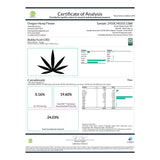 Bubba Kush CBD Hemp Flower - Plants