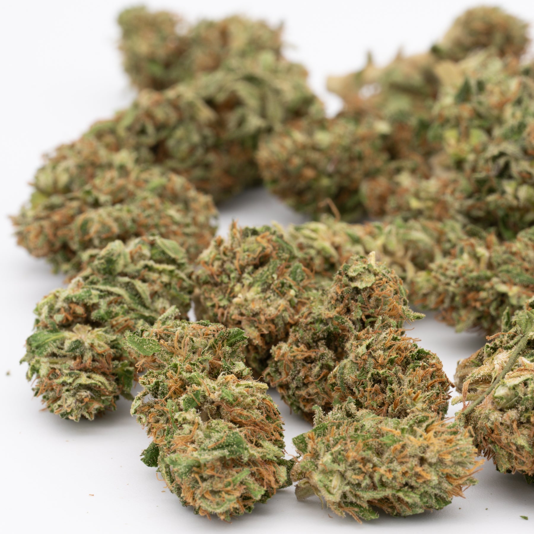 Dried Bubble Gum CBD Hemp Flower Full-Term with green and orange hues for CBD hemp flower enthusiasts