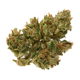 Dense Bubble Gum CBD Hemp Flower Full-Term with vibrant green hues, orange pistils, and white trichomes