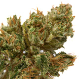 Vibrant green CBD Hemp Flower Full-Term with orange hairs and trichomes for Bubble Gum CBD