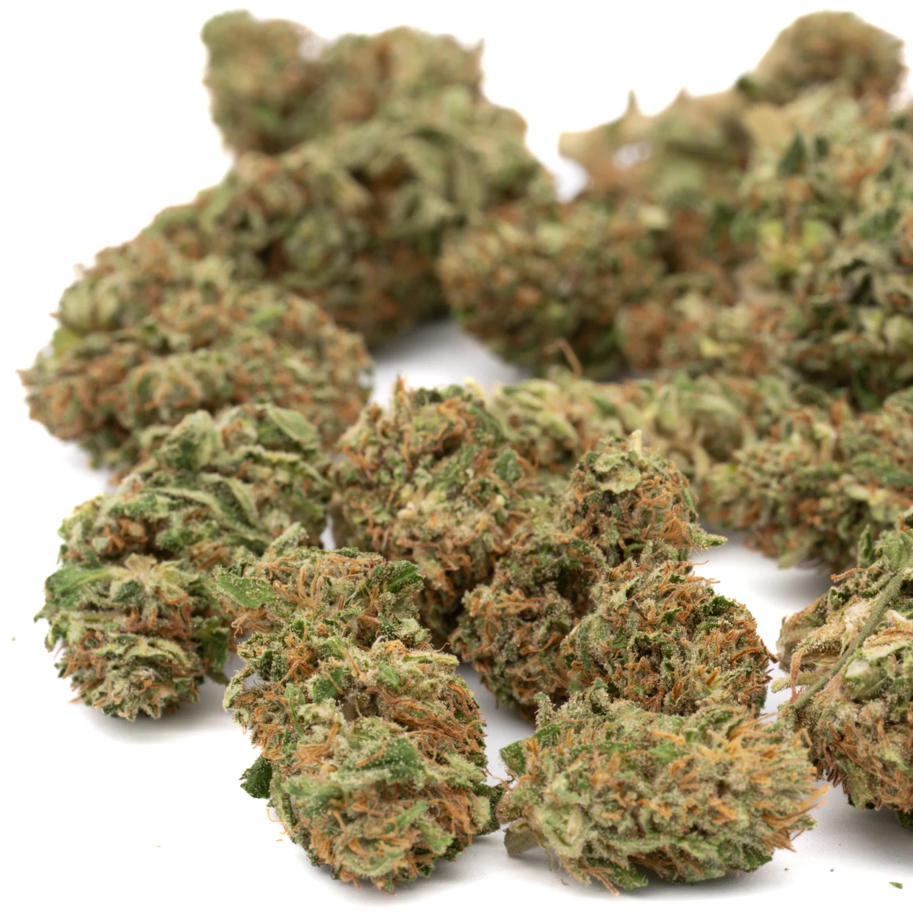 Green and brown dense frosty bubble gum cbd hemp flower full-term smalls with indiana bubble texture