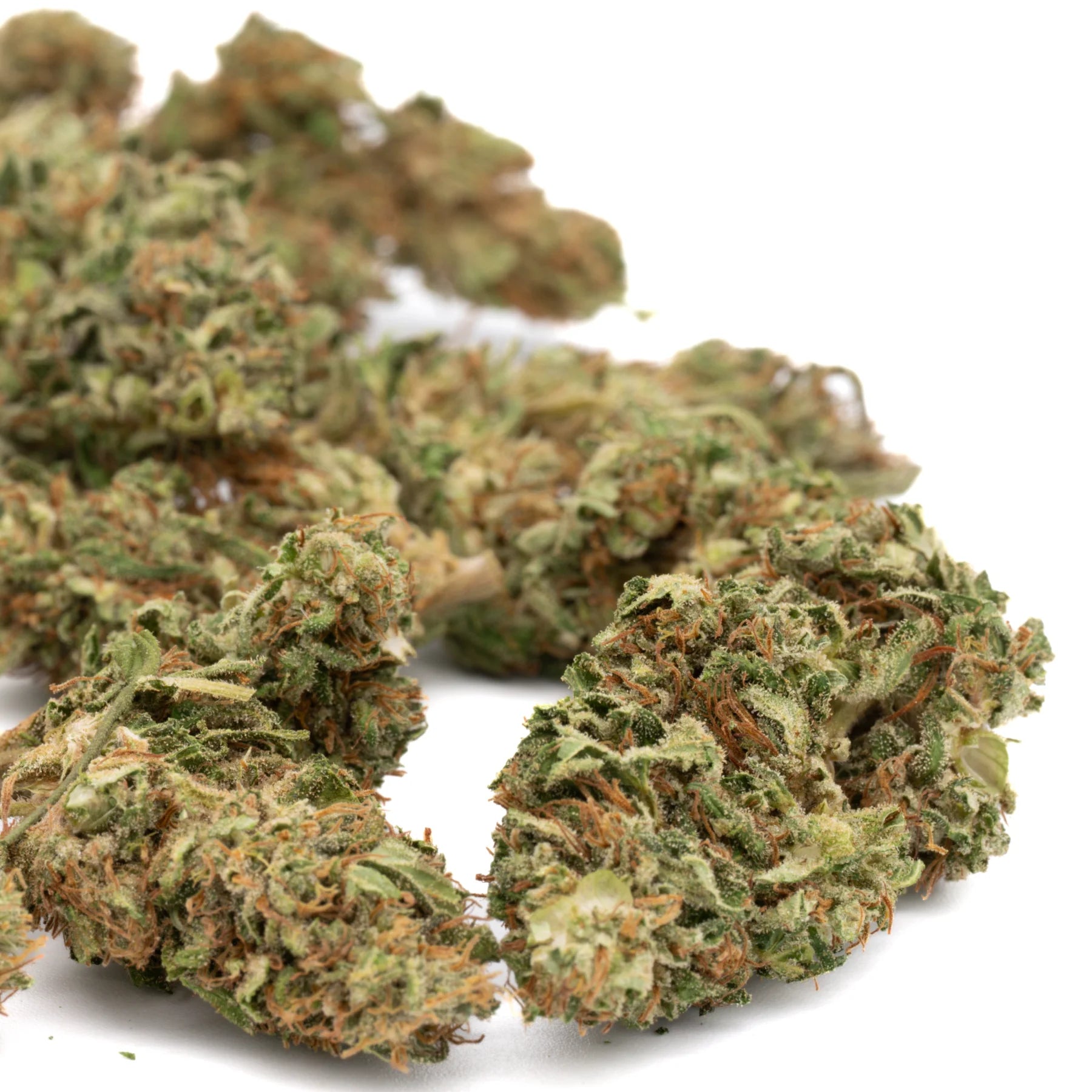 Green and brown dense frosty bubble gum cbd hemp flower full-term smalls with indiana bubble hemp flower texture
