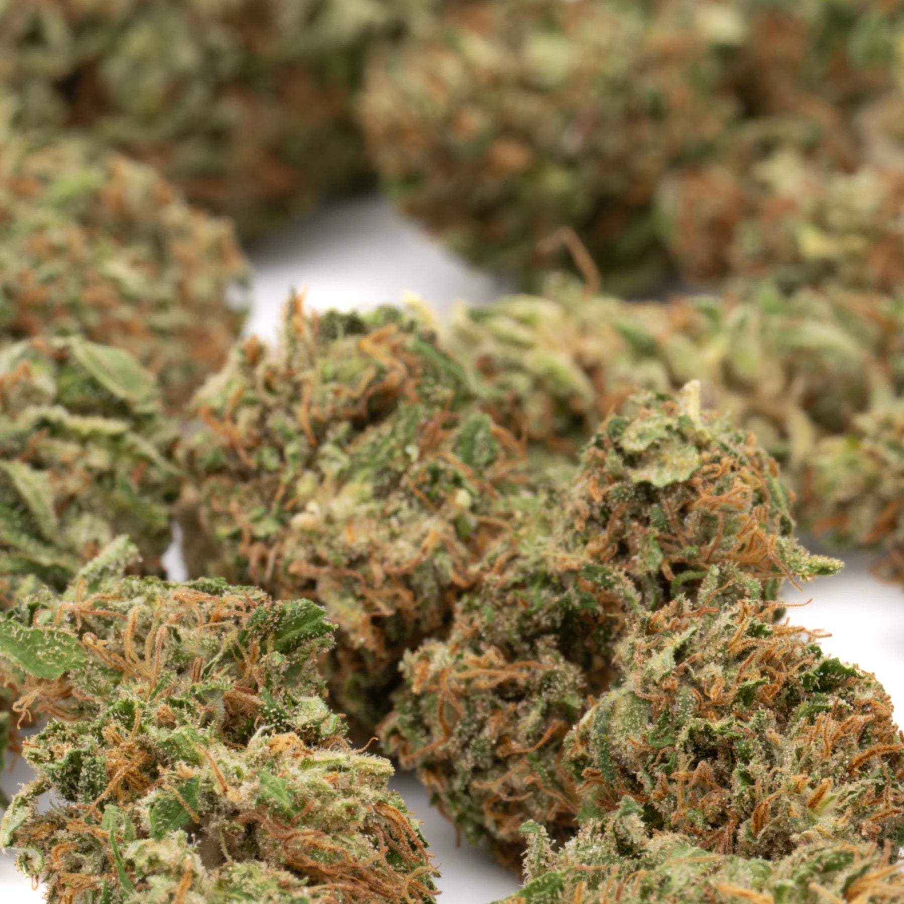 Green and orange-hued bubble gum cbd hemp flower full-term smalls with a frosty textured surface from indiana bubble