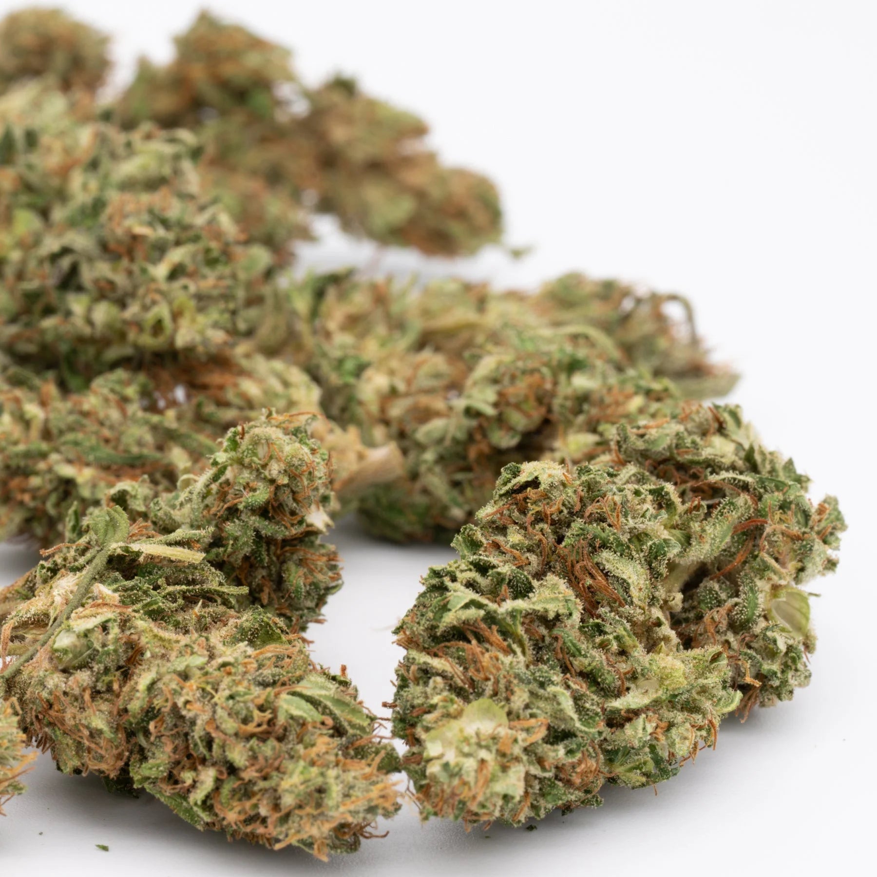 Dried Bubble Gum CBD Hemp Flower Full-Term buds for premium CBD hemp flower products