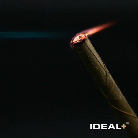 Burning blunt with hemp flower and CBD products in Hemp Flower Co. 420 Deals article