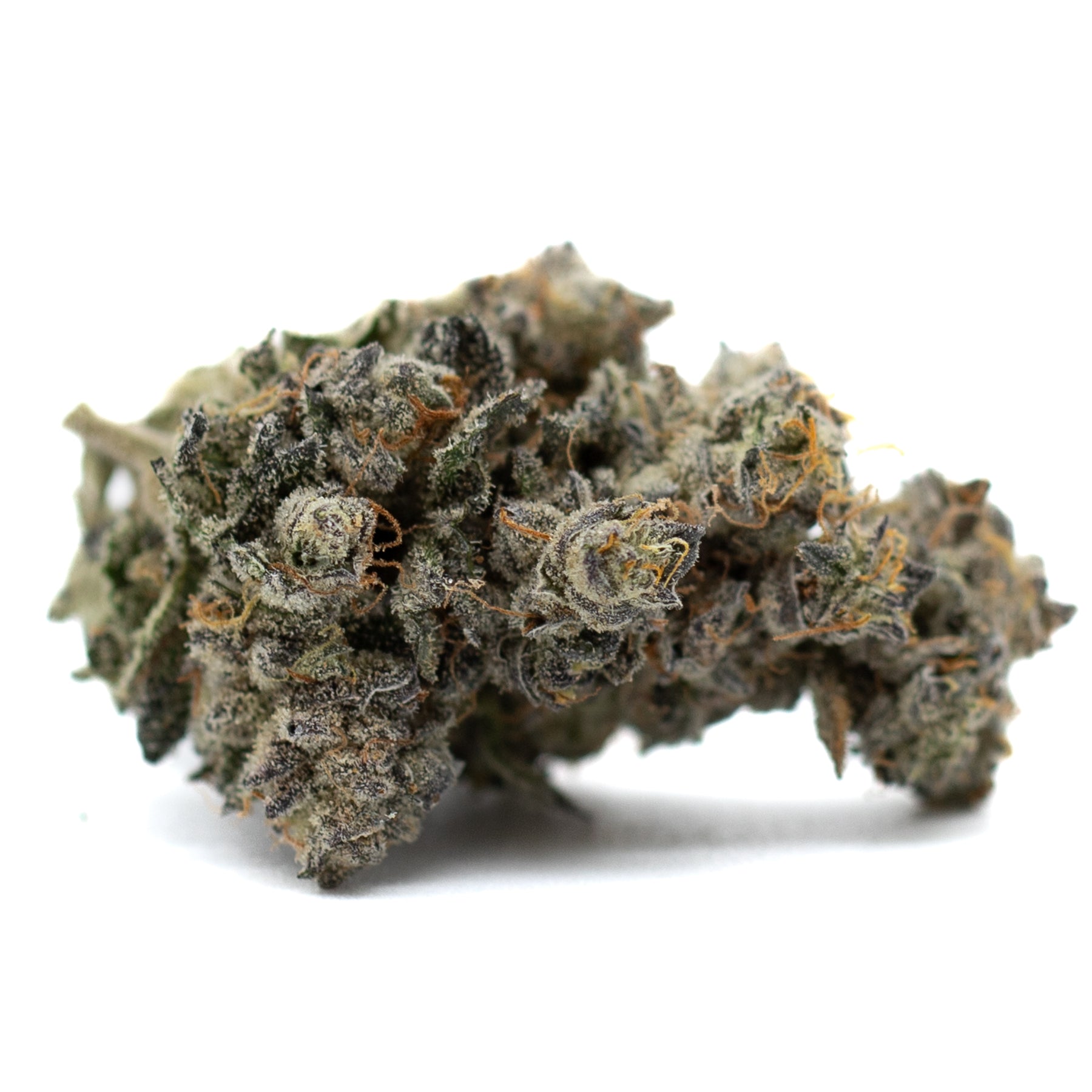 Dense cannabis bud with trichomes and orange hairs, labeled PREMIUM INDOOR, best thca flower