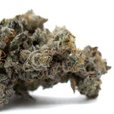 Densely packed Butter OG Indoor THCa Flower with white trichomes and orange pistils