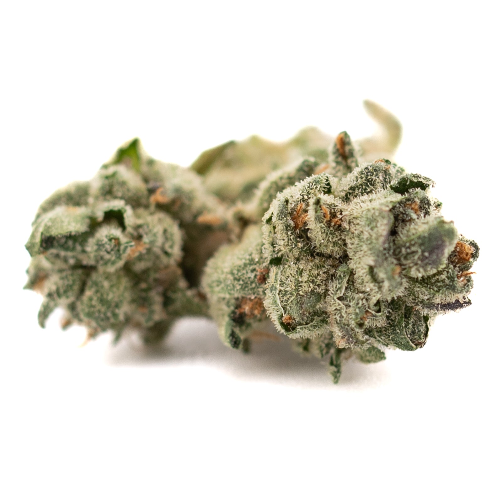 Dense trichome-covered Butter OG Indoor THCa Flower Smalls with orange pistils