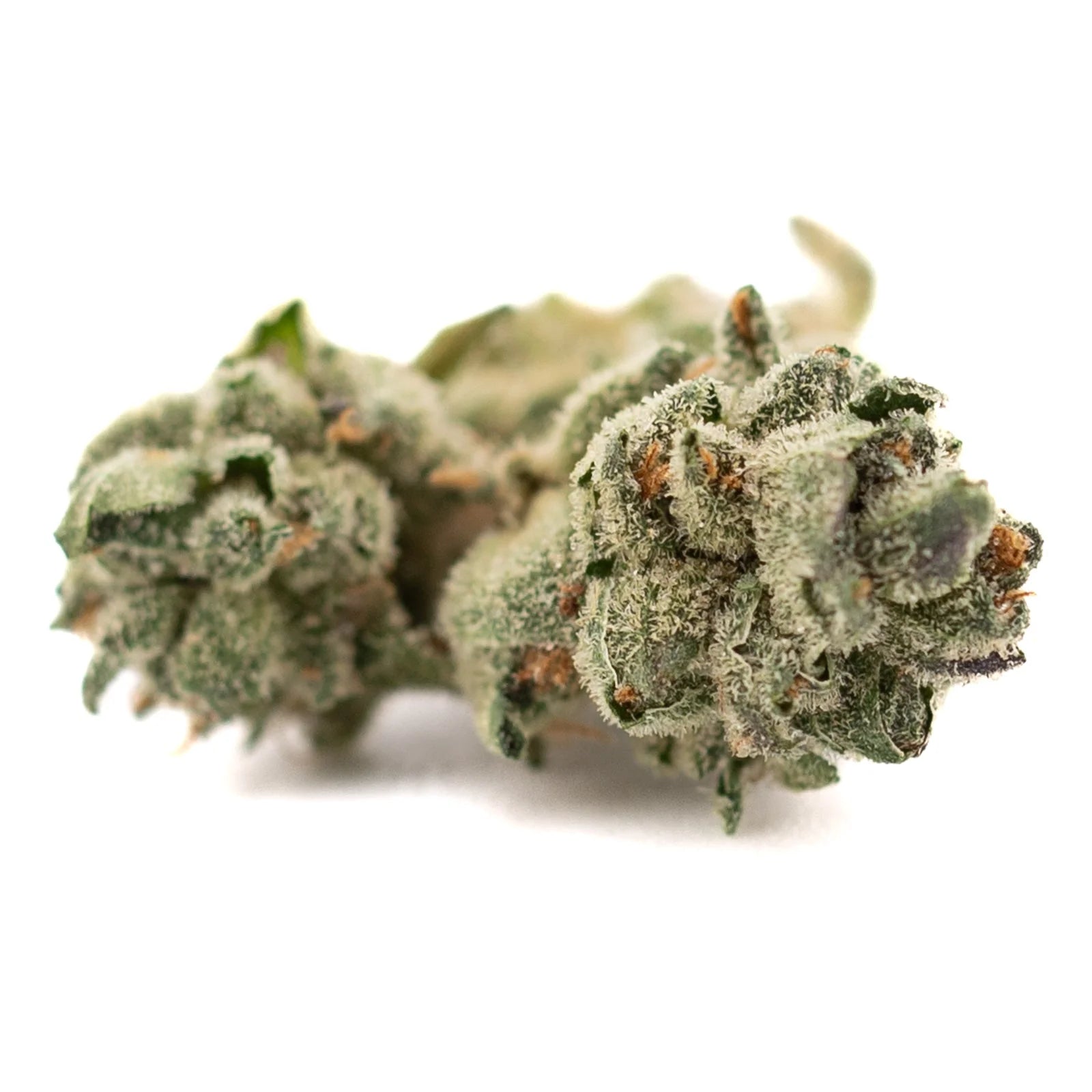 Dense trichome-covered Butter OG Indoor THCa Flower Smalls with orange pistils