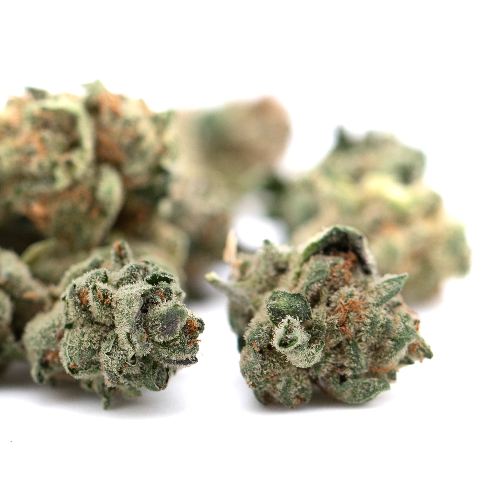 Dried Butter OG Indoor THCa Flower Smalls with trichomes and orange hairs