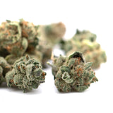 Dried Butter OG Indoor THCa Flower Smalls with trichomes and orange hairs