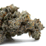 Densely packed Butter OG Indoor THCa Flower with white trichomes and orange pistils
