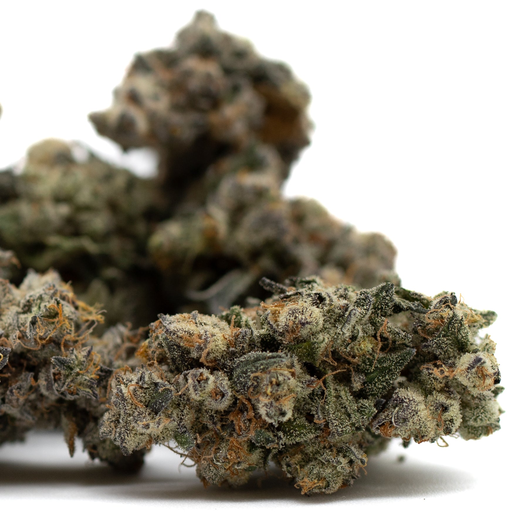 Dried Butter OG Indoor THCa Flower with trichomes and orange pistils, best THCA flower