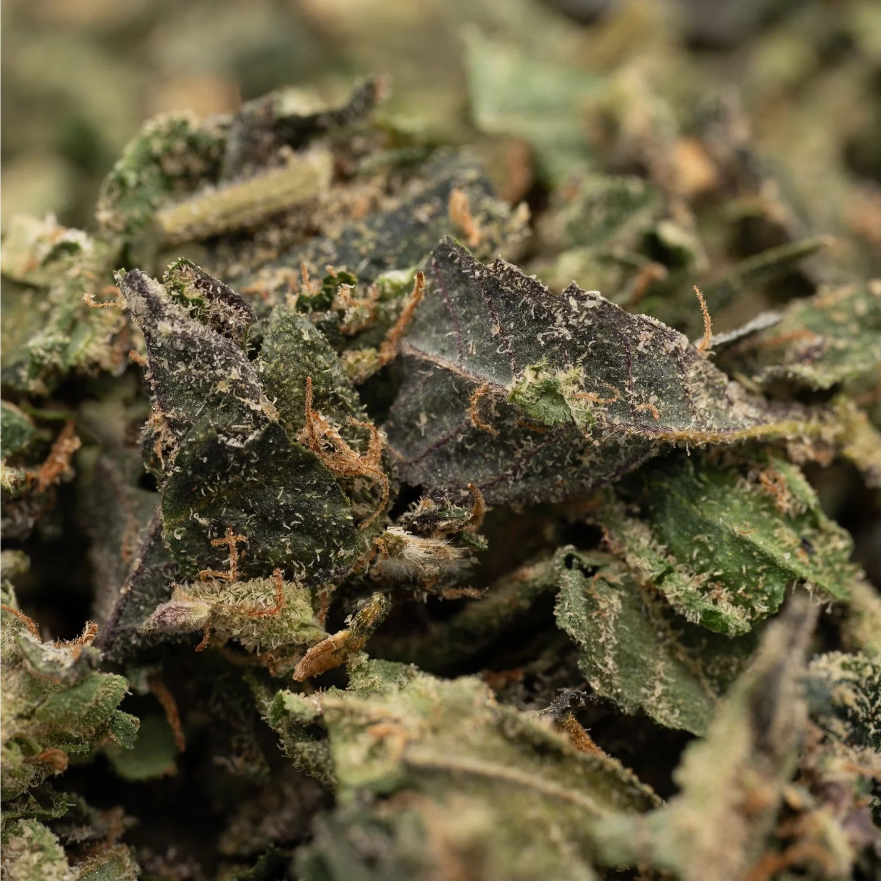 Close-up of chopped Cadillac Rainbow THCa indoor trim wholesale 1LB for sale