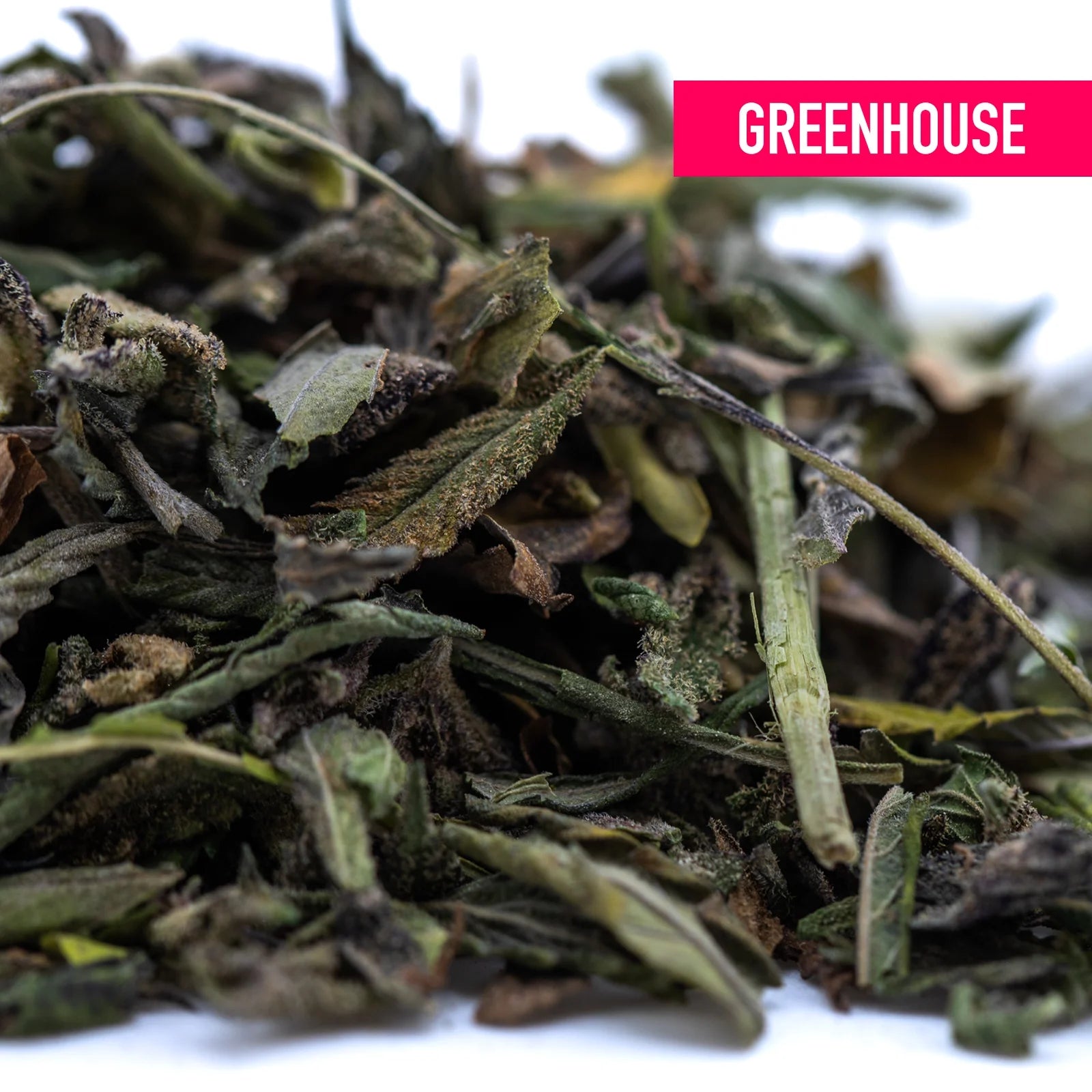 A pile of dried green thca trim leaves with dark and light shades featuring some stems for cali burger triple-cross genetics