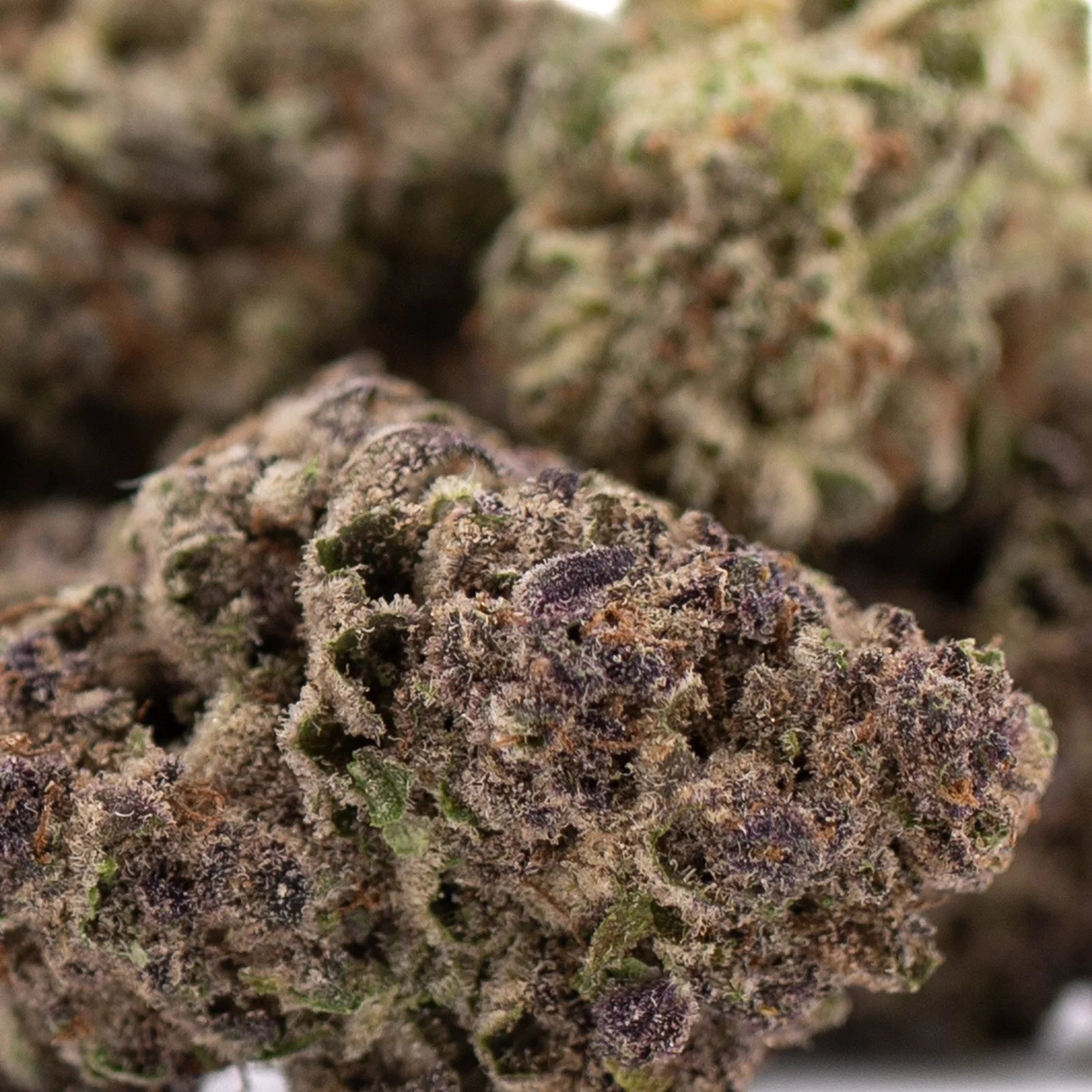 Purple Cali Burger THCa hemp flower bud with green hues and trichomes