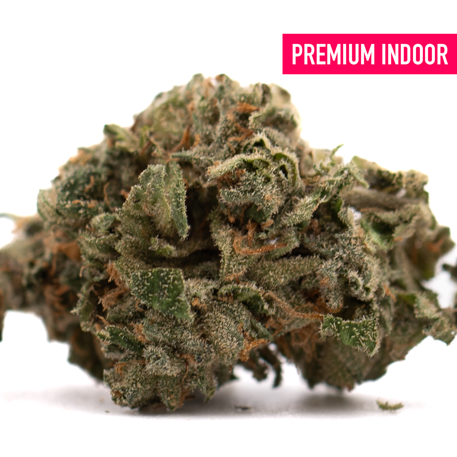 Canal Street Runtz THCA Flower with dense trichome-rich cannabis bud and orange pistils for explosive cerebral effects