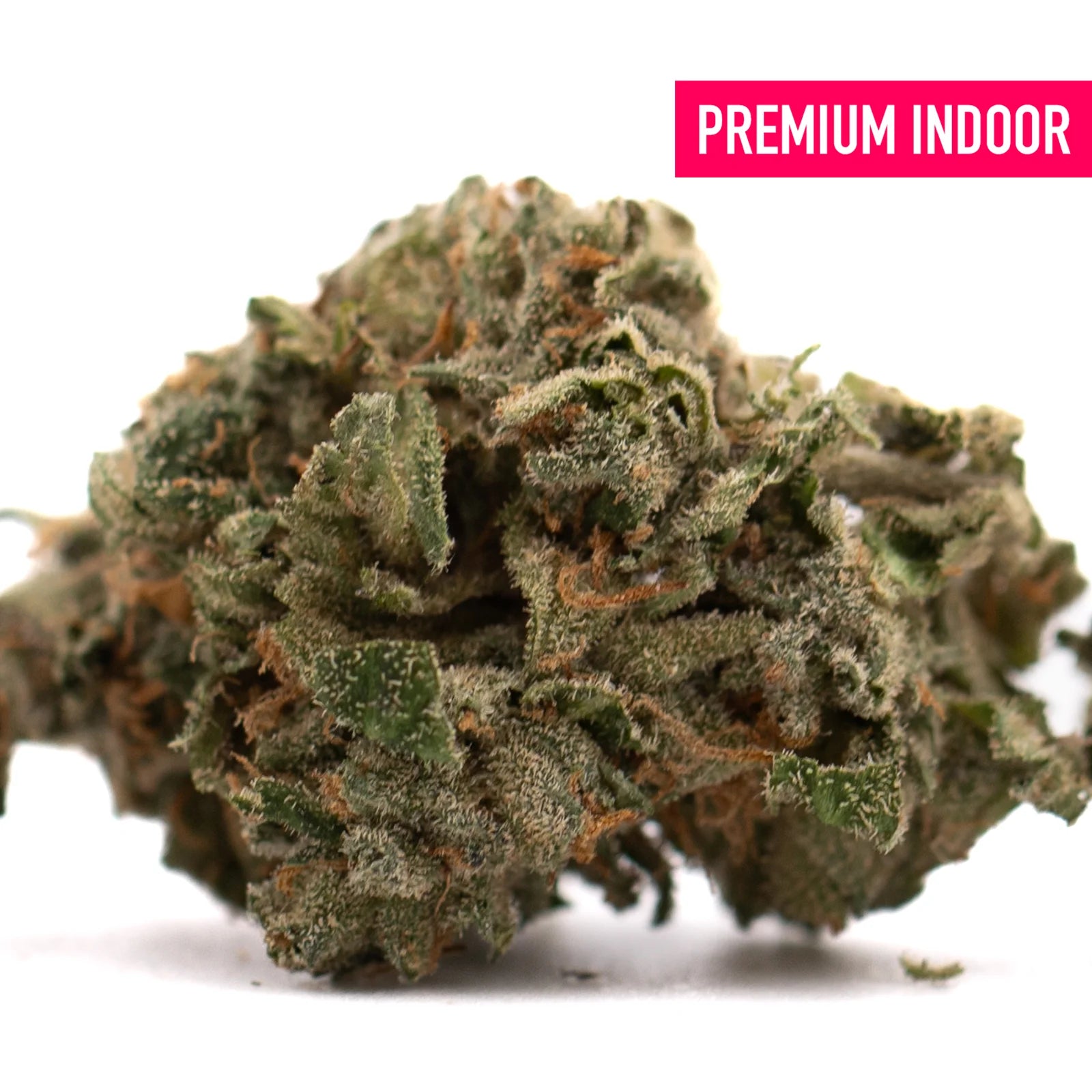 Canal Street Runtz THCA Flower with dense trichome-rich cannabis bud and orange pistils for explosive cerebral effects