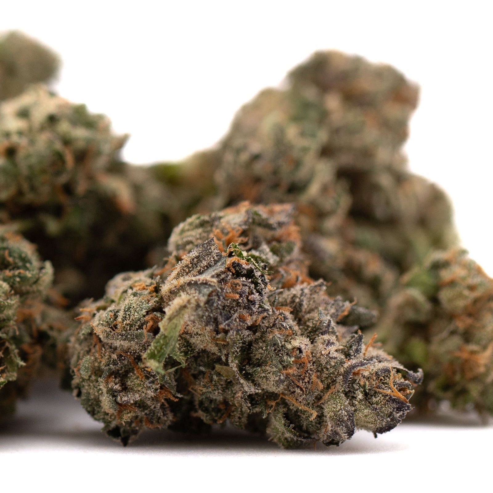 Dried Canal Street Runtz THCa Flower with orange hairs and frosty trichomes for explosive cerebral effects