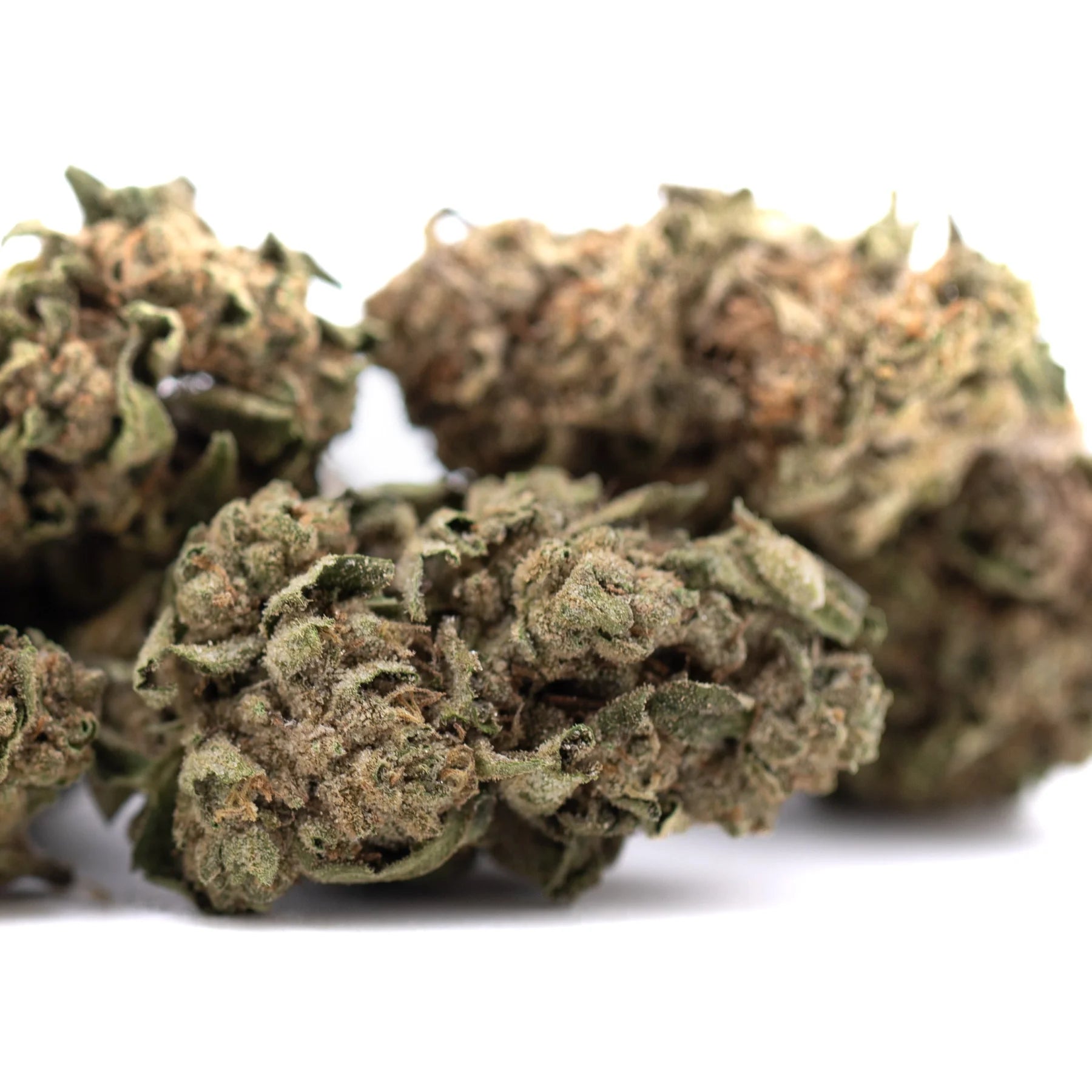 Dried canal street runtz greenhouse thca flower with green brown dense buds for physical relaxation