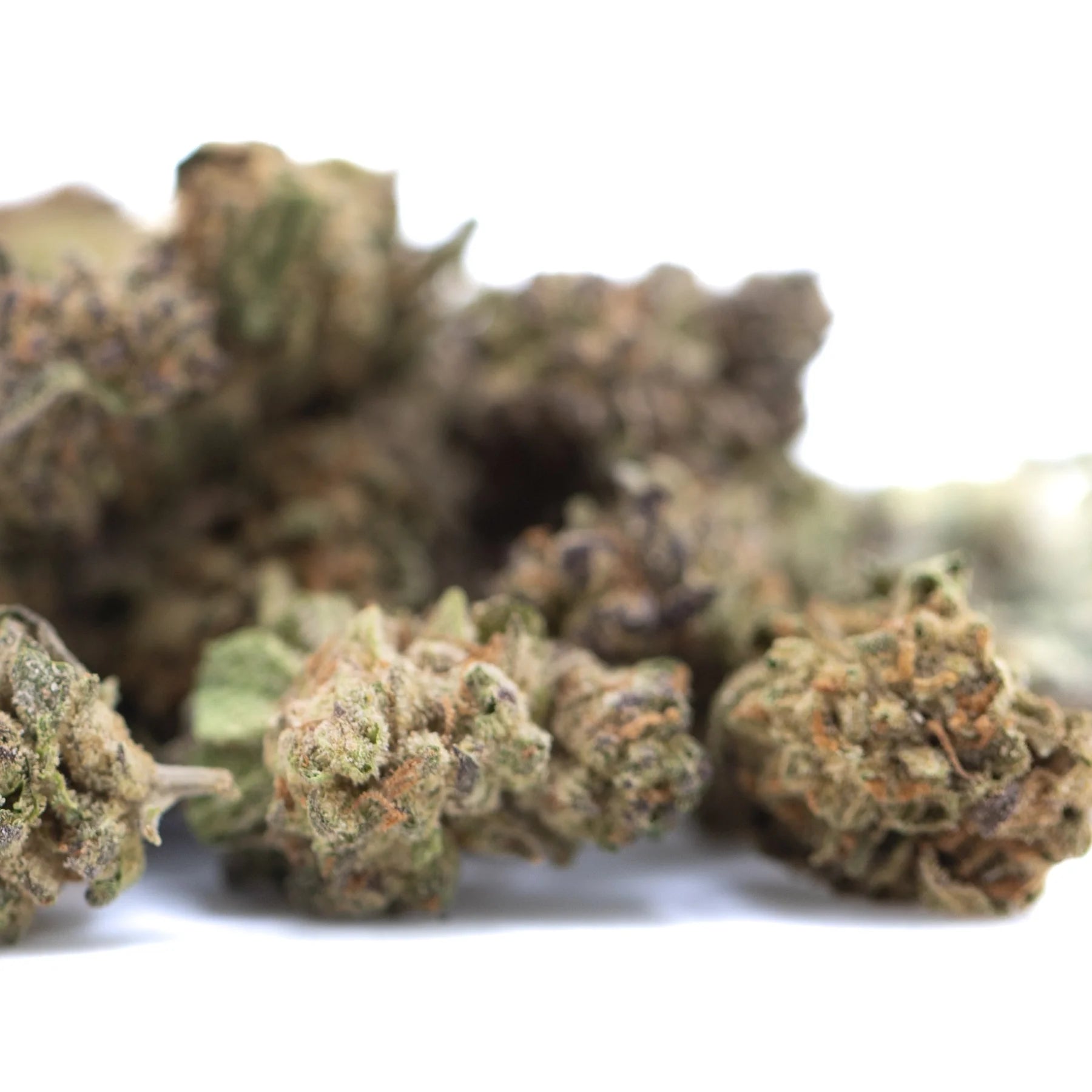 Dried canal street runtz thca hemp flower smalls with green brown and orange hues in greenhouse buds