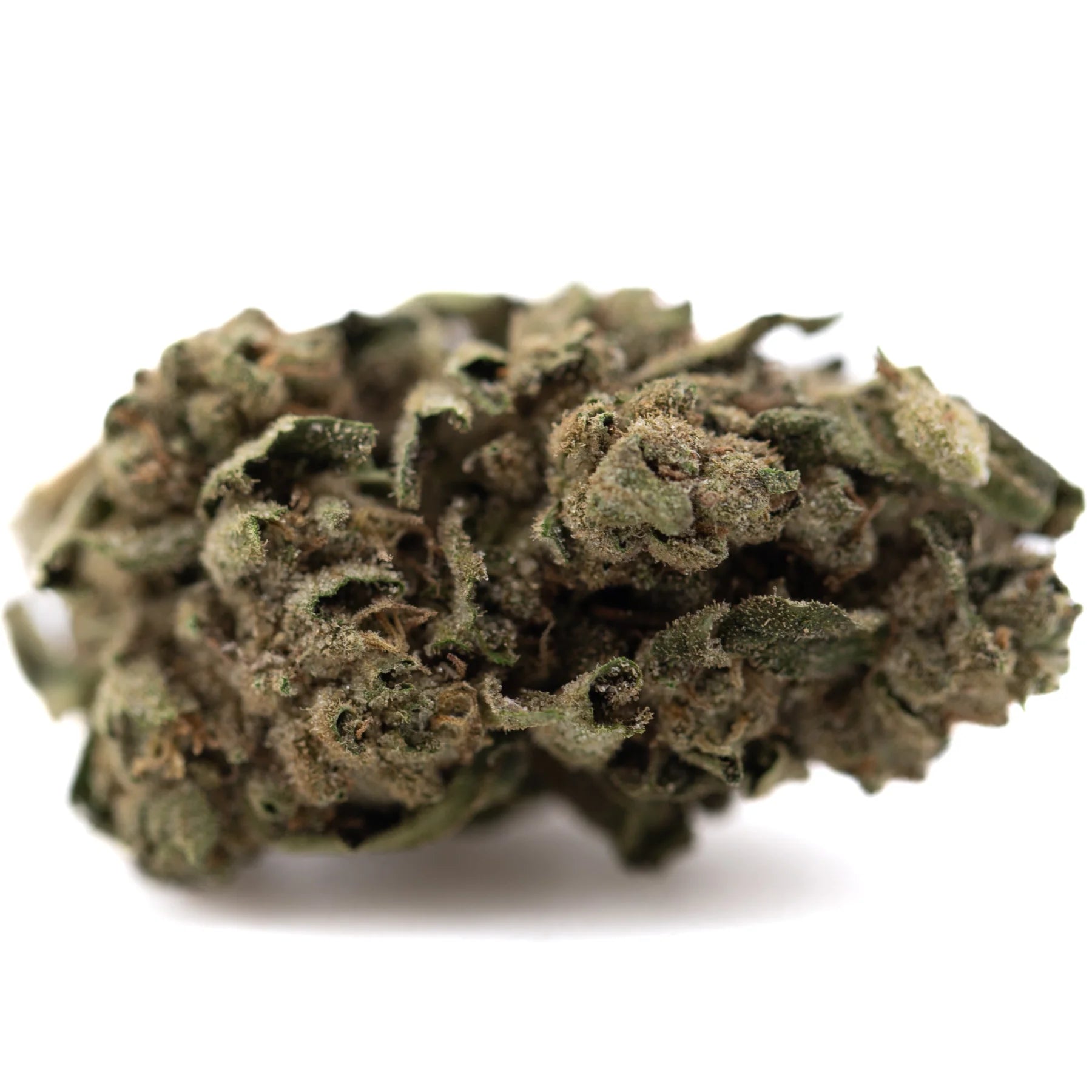 A dense canal street runtz thc bomb hemp flower with green and brown hues covered in pungent gassy trichomes