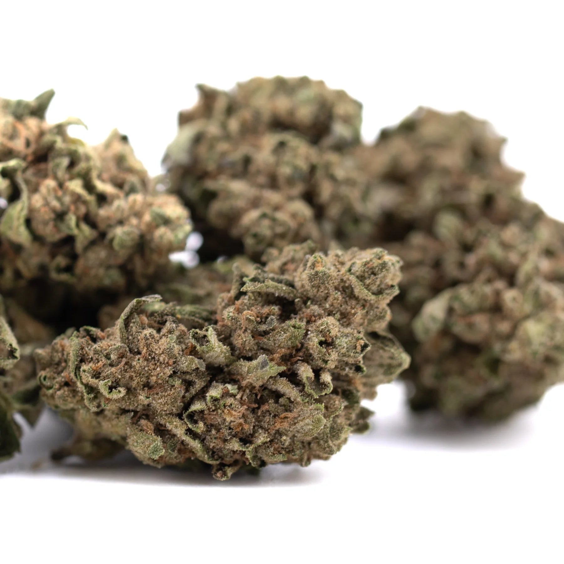 Dried cannabis buds of canal street runtz thc bomb with dense textured green and brown surface and pungent gassy aroma