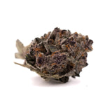 Candy Mac THCA indoor cannabis bud with orange pistils and white trichomes