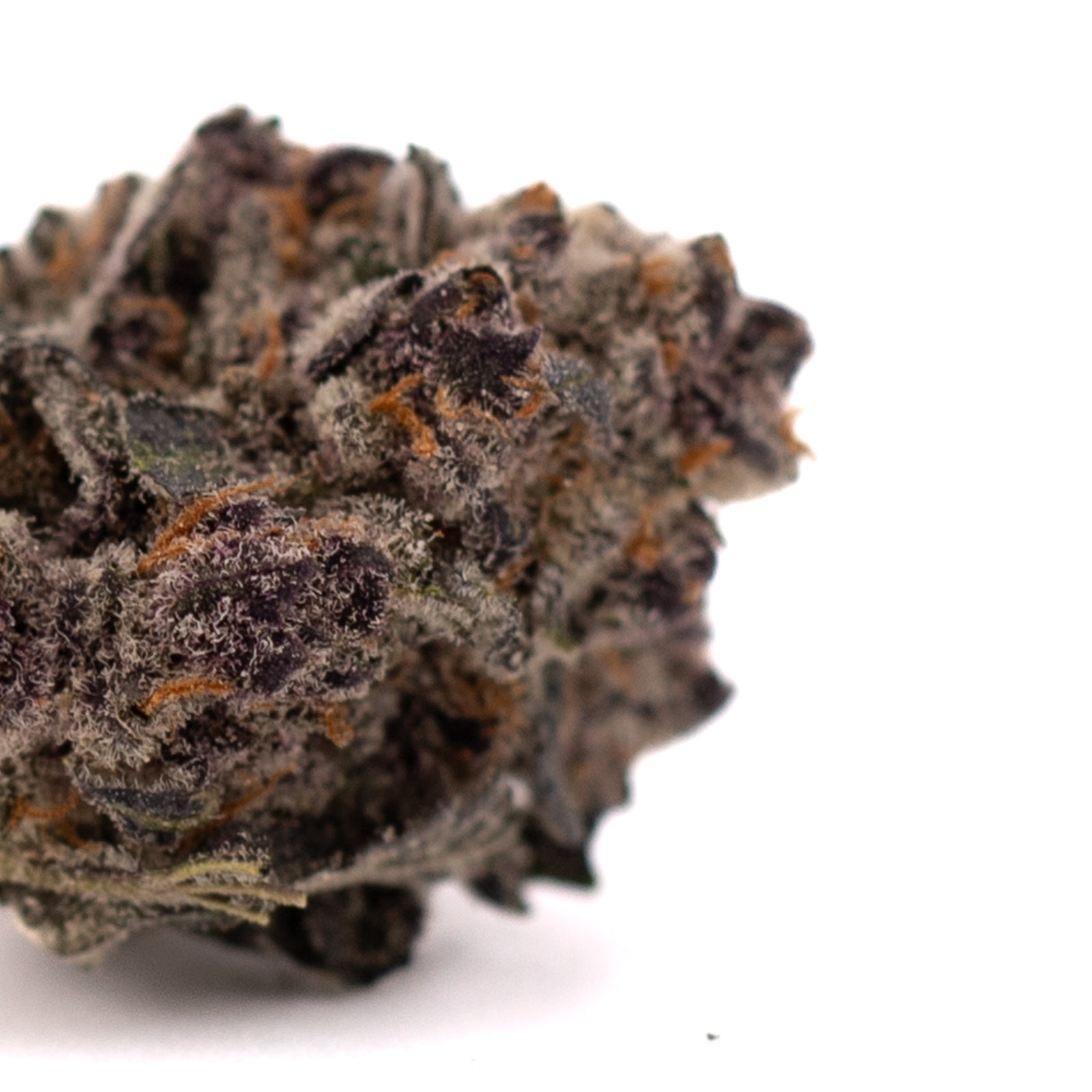 Dark purple Candy Mac cannabis buds with orange hairs, perfect for THCa indoor use
